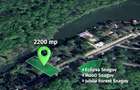 Teren Premium Snagov | 2.200 mp | 40 m deschidere directă la lac | 40 m stradal - 1