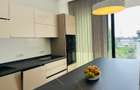 Penthouse  4 camere 3 bai Win Herastrau prima inchiriere - 4