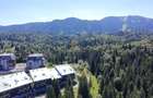 Apartament tip loft cu șemineu, situat în Silver Mountain Resort - 15