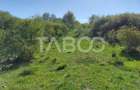 Teren 3445 mp intravilan front 26 m utilitati in zona in Cisnadie - 8