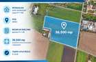 Teren 36.500 MP de vanzare Sannicolau Mic, Arad ID:RH-45694-property