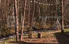 Resort montan premium de vanzare - Colibita - 17