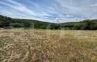 Teren intravilan de vânzare – 592 mp, zona Pădurea Bejan - 1