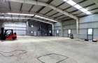 Magurele,hala 1000 mp,constructie noua ,ideal depozitare,productie - 16
