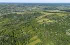 CRAMĂ PREMIUM DE VÂNZARE -60 HA- CONAC ISTORIC- PODGORIA DRĂGĂȘANI - 21