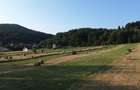 Teren 5886 mp In Bucovina - Bucsoaia! De Vanzare! 0727817187 - 5