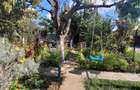 CUMPANA - CASA  P+M - BCA -TEREN 506 MP - GARAJ -113.900 EURO - 4