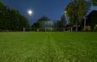 Vila grandioasa, Gradina Japoneza, SPA, Crama, Teren Tenis, Foisor, Iaz Pesti - 5