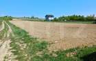 Teren de vanzare intravilan, 30 ari, Burdujeni Suceava - 1