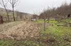 Teren 2.038 mp + Casă 50 mp de vânzare – Sat Luncsoru, Com. Ghercești - 2