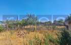 VANZARE TEREN 1.000 MP | STRADA PRINCIPALA | CENTRUL COMUNEI CUCUETI, TELEORMAN - 5