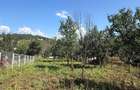 Casă nouă 3 camere cu teren de 1.370 mp la 5 min de Vălenii de Munte - 13