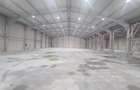 Balotesti - Hale Depozit - 2026 - Rampa TIR - ISU - A0/A3 - 600 €/mp - 4