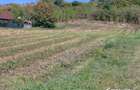 Teren de vanzare – Popesti Vale, 3600 mp - 1