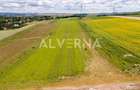 INVESTITIE! Teren constructii 11.600 mp | front 45.7m | Jucu de Sus - 3