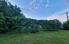 Casa cu teren de 1.536 mp de vanzare – Cretulesti, com. Matasaru, jud. Dambovita - 4
