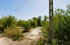 Teren intravilan 25.400 mp - Fundeni - Galati - 2