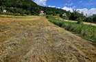 Teren 600mp Viisoara / Strada Primaverii - 27
