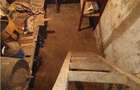 Casa taraneasca traditionala pe parter cu gradina si livada 1700mp in Gruiu, la - 17