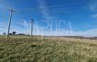 Teren extravilan agricol de vanzare in Iris, Cluj Napoca - 5