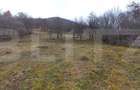 Teren extravilan 1500mp,Valea Rusului - 1