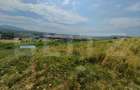 Teren extravilan, de vanzare, 6500 mp,  zona Crasnei - 5