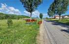 Teren de vanzare zona Teleac - 2