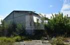 Proprietar vand teren si hale industriale- 51.550 mp • Deta - 4