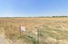 Teren 10.000mp drumul La Rosu, Lacul Morii, ideal dezvoltare imobiliară - 4