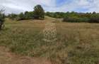 Teren 5200 mp-ideal cabane, case de vacante, agricultura-Livezile - 2
