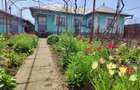 Casă de vânzare în comuna Perișor, județul Dolj - 1