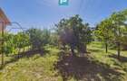 Vila 13 camere, Sanmartin - 23