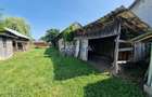 Casa 3 Camere + Teren si Anexe, Tirculesti- Danesti - 18