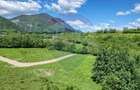 Teren 500mp Tohanita (intre castelul Bran si Zarnesti), padure + parau - 1