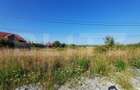 Teren intravilan si extravilan, 9500 mp, cu dublă deschidere – Ana Ipatescu - 3