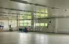 Spatii productie si depozitare, zona Sebis - Prunisor-Carand - 6