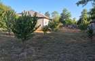 Casă de vânzare în comuna Făcăeni, județul Ialomița – teren 2600 mp, casă nouă, 