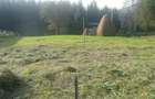 Teren intravilan situat in Traiteni,Valea Doftanei - 6