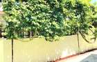 Apartamente Regim hotelier cu rezervari incluse in Sibiu - 16