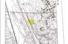 Teren 5.000 Mp situat chiar pe DN1 cu deschidere 50Ml directa la dn1 - 3