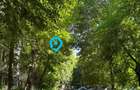 Apartament 2 camere decomandat- Metrou Brancoveanu - 9