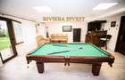 Ovidiu Sud-Vila de lux cu piscină și ponton situate pe malul lacului Siutghiol - 42