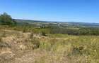 RECO Teren extravilan Holod 27400 mp - 9