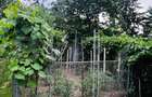 Apartament 2 camere, 74 mp, renovabil, zona Ultracentral - 3