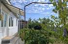 Casa Panciu, 870 mp teren curti constructii - 2
