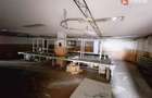 Spatiu comercial de inchiriat in Timisoara, zona Mircea cel Batran - 23