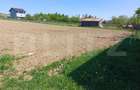 Teren de vanzare intravilan, 30 ari, Burdujeni Suceava - 2