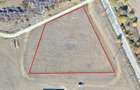 Teren 4,804mp com. Vladimirescu jud. Arad - 2