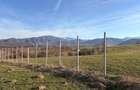 Teren 809 mp intravilan zonă în plină dezvoltare în Tropinii Noi - 12
