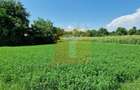 Teren intravilan 4.133 mp cu dublă deschidere – Girov, Neamț | Toma Imobiliare - 5